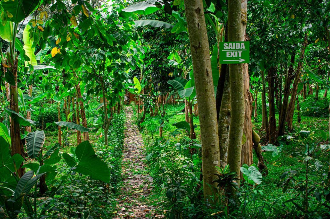 Eco-Por Villa Rio do Ouro Buitenkant foto